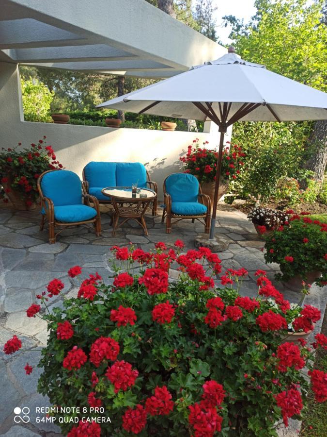 Sani Villa Maria Екстериор снимка